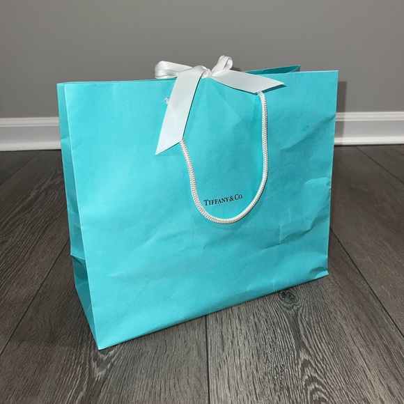 Tiffany and Company Empty Shopping Tote/Gift Bag🩵 - Picture 2 of 9